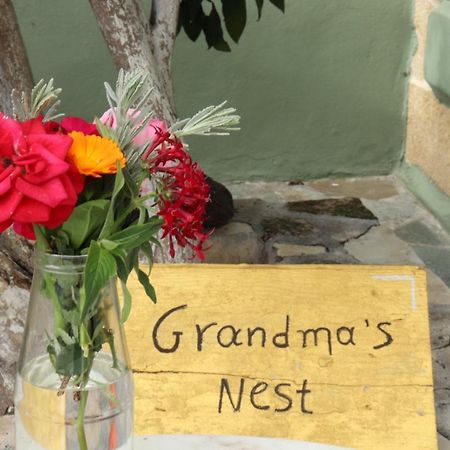 Grandma'S Nest Villa Kíszamosz Kültér fotó