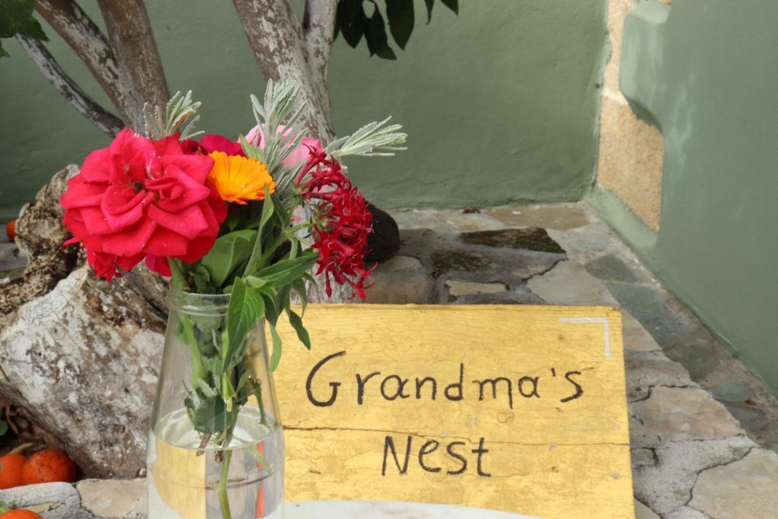 Grandma'S Nest Villa Kíszamosz Kültér fotó